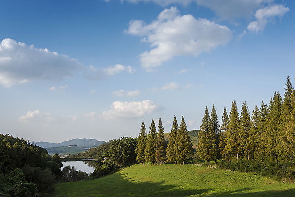 포토 JPG 주간 나무 구름 여행 자연 하늘 한국 풍경 사람없음 야외 가을풍경 가을 서산 국내포토 자연요소 식물 계절 아시아 충청남도 생태계 파일형식 가을_계절