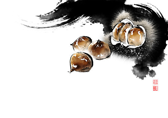 PSD 식물 열매 일러스트 캘리그라피 붓터치 사람없음 견과류 가을 밤 밤송이 동양화 번짐 낙관 국내일러스트 계절 미술 밤_견과류 파일형식 효과