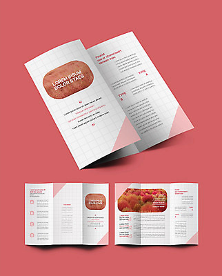 템플릿 표지디자인 표지 ZIP 내지 리플렛 분홍색 3단접지 팜플렛 사람없음 국내여행 인디자인 INDD 핑크뮬리 이미지템플릿 식물 컬러 여행 파일형식