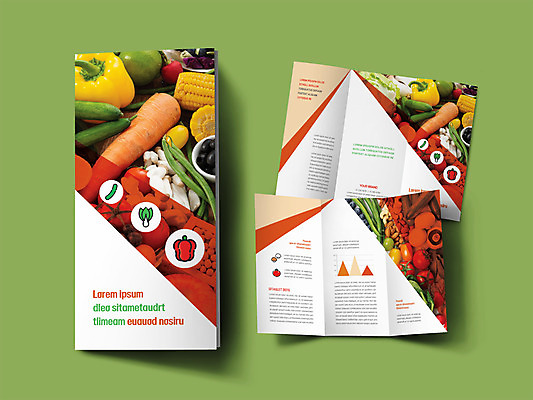 템플릿 표지디자인 표지 ZIP 내지 리플렛 토마토 채소 3단접지 파프리카 옥수수 요리 팜플렛 사람없음 초록색 버섯 당근 인디자인 INDD 이미지템플릿 컬러 곡류 뿌리채소 파일형식