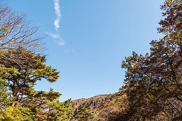 포토 JPG 주간 나무 구름 여행 단풍 자연 하늘 단풍나무 한국 풍경 사람없음 야외 관광지 제주도 가을 숲 한라산 국내여행 제주도여행 오백나한 국내포토 자연요소 식물 계절 아시아 잎 불교 산 생태계 파일형식