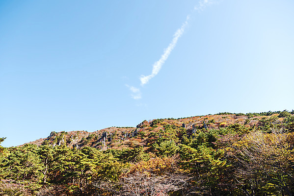포토 JPG 주간 나무 구름 여행 단풍 자연 하늘 단풍나무 한국 풍경 사람없음 야외 관광지 제주도 가을 숲 한라산 국내여행 제주도여행 오백나한 국내포토 자연요소 식물 계절 아시아 잎 불교 산 생태계 파일형식