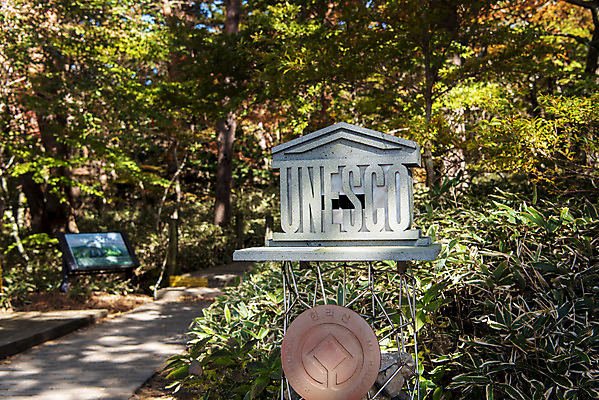 포토 JPG 주간 나무 여행 단풍 자연 단풍나무 한국 풍경 사람없음 야외 관광지 제주도 세계문화유산 가을 표지판 숲 데크 등산로 한라산 국내여행 제주도여행 영실탐방로 국내포토 자연요소 식물 계절 아시아 잎 산 알림판 등산 문화재 생태계 파일형식 탐방로