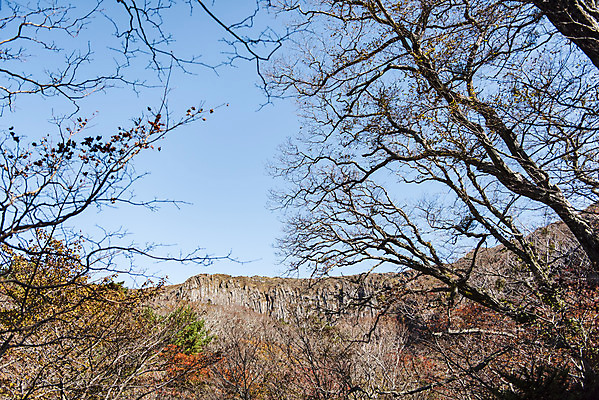 포토 JPG 주간 나무 여행 단풍 자연 하늘 단풍나무 한국 풍경 사람없음 야외 관광지 제주도 가을 숲 한라산 국내여행 제주도여행 영실탐방로 병풍바위 국내포토 자연요소 식물 계절 아시아 잎 산 바위_돌 생태계 파일형식 탐방로