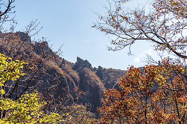 포토 JPG 주간 나무 여행 단풍 자연 하늘 단풍나무 한국 풍경 사람없음 야외 관광지 제주도 가을 숲 한라산 국내여행 제주도여행 영실탐방로 국내포토 자연요소 식물 계절 아시아 잎 산 생태계 파일형식 탐방로
