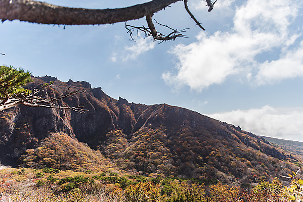 포토 JPG 주간 구름 여행 단풍 자연 하늘 단풍나무 한국 풍경 사람없음 야외 관광지 제주도 가을 숲 한라산 국내여행 제주도여행 영실탐방로 오백나한 국내포토 자연요소 나무 계절 아시아 잎 불교 산 생태계 파일형식 탐방로