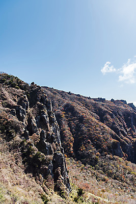 포토 JPG 주간 여행 단풍 자연 단풍나무 한국 풍경 사람없음 야외 관광지 제주도 가을 숲 한라산 국내여행 제주도여행 영실탐방로 병풍바위 국내포토 자연요소 나무 계절 아시아 잎 산 바위_돌 생태계 파일형식 탐방로