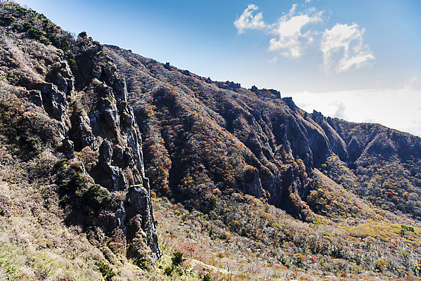 포토 JPG 주간 구름 여행 단풍 자연 하늘 단풍나무 한국 풍경 사람없음 야외 관광지 제주도 가을 숲 한라산 국내여행 제주도여행 영실탐방로 병풍바위 국내포토 자연요소 나무 계절 아시아 잎 산 바위_돌 생태계 파일형식 탐방로