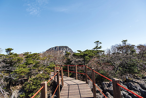 포토 JPG 주간 구름 여행 자연 하늘 한국 풍경 사람없음 야외 관광지 제주도 가을 숲 데크 등산로 한라산 구상나무 국내여행 백록담 제주도여행 영실탐방로 국내포토 자연요소 나무 계절 아시아 호수 산 등산 생태계 파일형식 탐방로