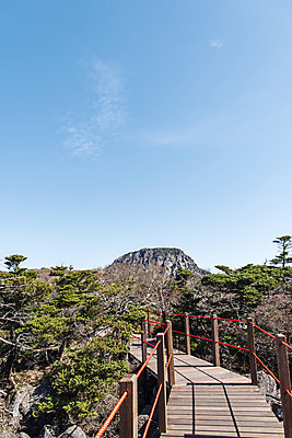 포토 JPG 주간 구름 여행 자연 하늘 한국 풍경 사람없음 야외 관광지 제주도 가을 숲 데크 등산로 한라산 구상나무 국내여행 백록담 제주도여행 영실탐방로 국내포토 자연요소 나무 계절 아시아 호수 산 등산 생태계 파일형식 탐방로