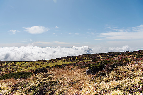 포토 JPG 주간 구름 여행 자연 하늘 한국 풍경 사람없음 야외 관광지 제주도 가을 한라산 국내여행 제주도여행 영실탐방로 국내포토 자연요소 계절 아시아 산 생태계 파일형식 탐방로