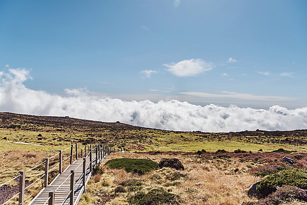 포토 JPG 주간 구름 여행 자연 하늘 한국 풍경 사람없음 야외 관광지 제주도 가을 데크 등산로 한라산 국내여행 제주도여행 영실탐방로 국내포토 자연요소 계절 아시아 산 등산 생태계 파일형식 탐방로