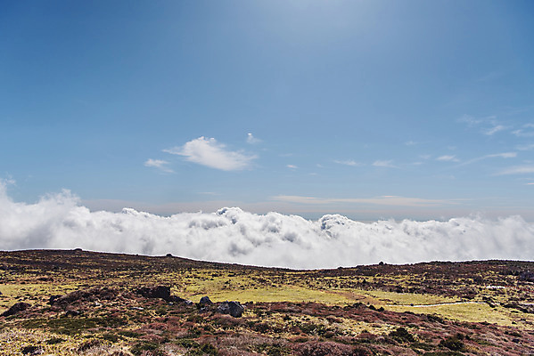 포토 JPG 주간 구름 여행 자연 하늘 한국 풍경 사람없음 야외 관광지 제주도 가을 등산로 한라산 국내여행 제주도여행 영실탐방로 국내포토 자연요소 계절 아시아 산 등산 생태계 파일형식 탐방로