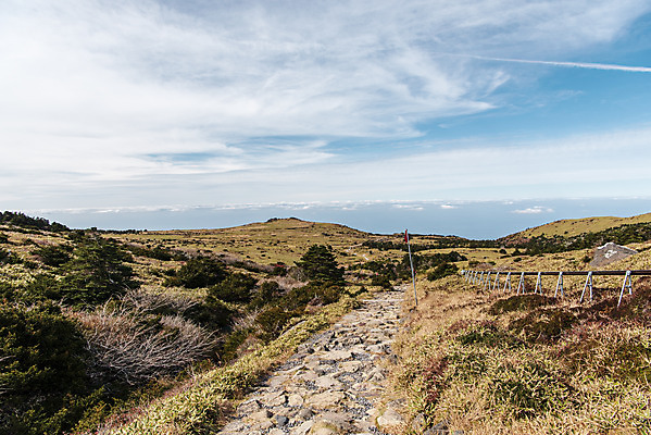 포토 JPG 주간 구름 여행 자연 하늘 한국 풍경 사람없음 야외 관광지 제주도 가을 오름 등산로 한라산 구상나무 국내여행 제주도여행 조릿대 어리목탐방로 국내포토 자연요소 나무 식물 계절 아시아 산 등산 생태계 파일형식 탐방로