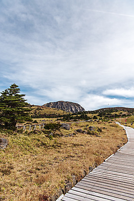 포토 JPG 주간 구름 여행 자연 하늘 한국 풍경 사람없음 야외 관광지 제주도 가을 오름 데크 등산로 한라산 구상나무 국내여행 백록담 제주도여행 어리목탐방로 국내포토 자연요소 나무 계절 아시아 호수 산 등산 생태계 파일형식 탐방로