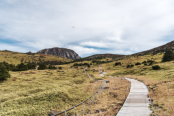포토 JPG 주간 구름 여행 자연 하늘 한국 풍경 사람없음 야외 관광지 제주도 가을 오름 데크 등산로 한라산 구상나무 국내여행 백록담 제주도여행 조릿대 어리목탐방로 국내포토 자연요소 나무 식물 계절 아시아 호수 산 등산 생태계 파일형식 탐방로