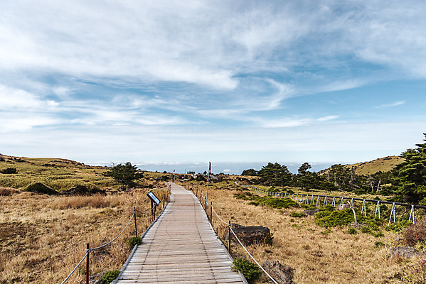포토 JPG 주간 구름 여행 자연 하늘 한국 풍경 사람없음 야외 관광지 제주도 가을 오름 데크 등산로 한라산 구상나무 국내여행 제주도여행 어리목탐방로 국내포토 자연요소 나무 계절 아시아 산 등산 생태계 파일형식 탐방로