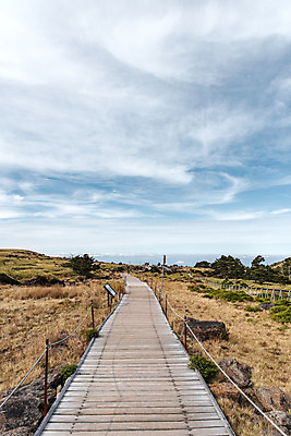 포토 JPG 주간 구름 여행 자연 하늘 한국 풍경 사람없음 야외 관광지 제주도 가을 오름 데크 등산로 한라산 구상나무 국내여행 제주도여행 어리목탐방로 국내포토 자연요소 나무 계절 아시아 산 등산 생태계 파일형식 탐방로
