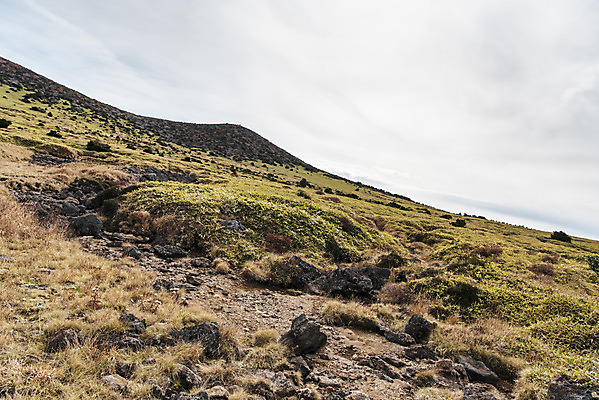 포토 JPG 주간 구름 여행 자연 하늘 한국 풍경 사람없음 야외 관광지 제주도 가을 오름 한라산 국내여행 제주도여행 어리목탐방로 국내포토 자연요소 계절 아시아 산 생태계 파일형식 탐방로