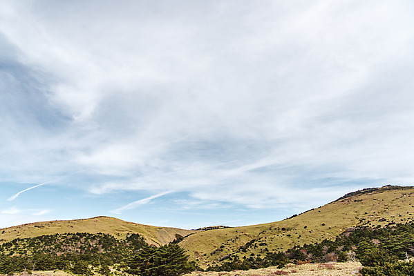포토 JPG 주간 구름 여행 자연 하늘 한국 풍경 사람없음 야외 관광지 제주도 가을 오름 한라산 구상나무 국내여행 제주도여행 어리목탐방로 국내포토 자연요소 나무 계절 아시아 산 생태계 파일형식 탐방로