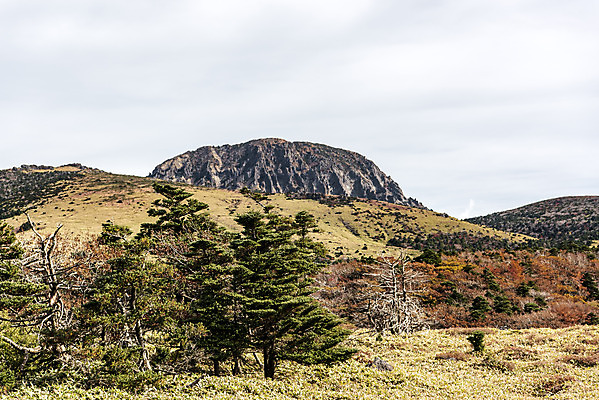 포토 JPG 주간 구름 여행 단풍 자연 하늘 단풍나무 한국 풍경 사람없음 야외 관광지 제주도 가을 오름 한라산 구상나무 국내여행 백록담 제주도여행 조릿대 어리목탐방로 국내포토 자연요소 나무 식물 계절 아시아 호수 잎 산 생태계 파일형식 탐방로