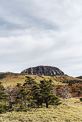포토 JPG 주간 구름 여행 단풍 자연 하늘 단풍나무 한국 풍경 사람없음 야외 관광지 제주도 가을 오름 한라산 구상나무 국내여행 백록담 제주도여행 조릿대 어리목탐방로 국내포토 자연요소 나무 식물 계절 아시아 호수 잎 산 생태계 파일형식 탐방로