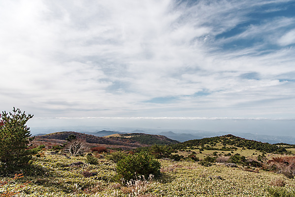 포토 JPG 주간 구름 바다 여행 자연 하늘 한국 풍경 사람없음 야외 관광지 제주도 가을 오름 등산로 한라산 국내여행 제주도여행 수평선 조릿대 어리목탐방로 국내포토 자연요소 식물 계절 아시아 산 등산 생태계 파일형식 탐방로