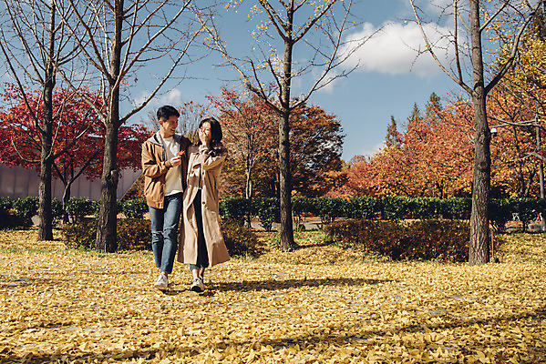 포토 JPG 주간 전신 커플 여자 남자 행복 낙엽 데이트 자연 서울 웃음 20대 성인 야외 두명 앞모습 손잡기 다정 산책 한국인 가을 숲 즐거움 성인만 서울숲 국내포토 자연요소 계절 감정 뷰포인트 컨셉 잎 관계 모션 휴식 한국 표정 사람 동양인 청년 생태계 파일형식