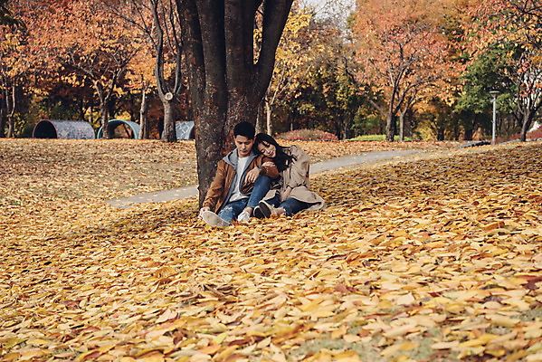 포토 JPG 주간 전신 나무 커플 여자 남자 행복 낙엽 데이트 자연 서울 앉기 20대 성인 야외 두명 앞모습 기댐 다정 산책 한국인 가을 숲 즐거움 성인만 서울숲 국내포토 자연요소 식물 계절 감정 뷰포인트 컨셉 잎 관계 모션 휴식 한국 사람 동양인 청년 생태계 파일형식