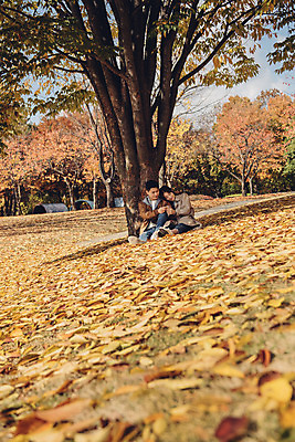 포토 JPG 주간 전신 나무 커플 여자 남자 행복 낙엽 데이트 자연 서울 앉기 20대 성인 야외 두명 앞모습 기댐 다정 산책 한국인 가을 숲 즐거움 성인만 서울숲 국내포토 자연요소 식물 계절 감정 뷰포인트 컨셉 잎 관계 모션 휴식 한국 사람 동양인 청년 생태계 파일형식