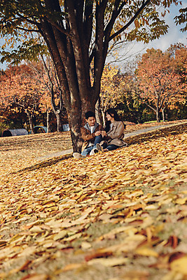포토 JPG 주간 전신 나무 커플 여자 남자 행복 낙엽 데이트 자연 서울 앉기 20대 성인 야외 두명 앞모습 다정 산책 한국인 가을 숲 즐거움 성인만 서울숲 국내포토 자연요소 식물 계절 감정 뷰포인트 컨셉 잎 관계 모션 휴식 한국 사람 동양인 청년 생태계 파일형식