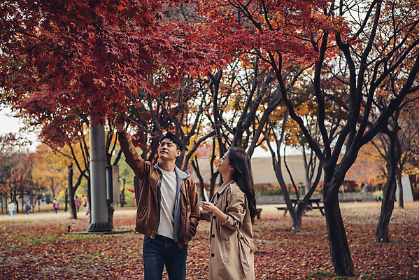 포토 JPG 주간 커플 여자 남자 행복 단풍 낙엽 데이트 자연 서울 서기 상반신 20대 성인 야외 두명 앞모습 옆모습 다정 산책 한국인 가을 숲 즐거움 성인만 서울숲 국내포토 자연요소 계절 감정 뷰포인트 컨셉 잎 관계 모션 휴식 한국 사람 동양인 청년 생태계 파일형식