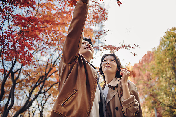 포토 JPG 주간 커플 여자 남자 행복 단풍 낙엽 데이트 자연 서울 서기 상반신 20대 성인 야외 두명 옆모습 다정 산책 한국인 가을 숲 즐거움 성인만 서울숲 국내포토 자연요소 계절 감정 뷰포인트 컨셉 잎 관계 모션 휴식 한국 사람 동양인 청년 생태계 파일형식