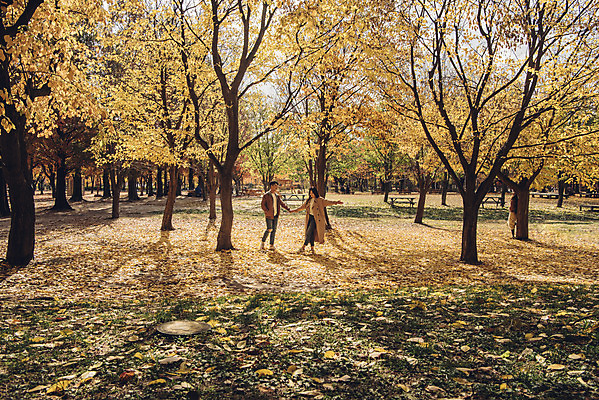 포토 JPG 주간 전신 커플 여자 남자 행복 단풍 낙엽 데이트 자연 서울 20대 성인 야외 두명 앞모습 손잡기 다정 산책 한국인 가을 숲 즐거움 은행잎 성인만 서울숲 국내포토 자연요소 계절 감정 뷰포인트 컨셉 잎 관계 모션 휴식 한국 사람 동양인 청년 생태계 파일형식