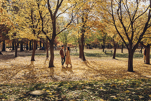 포토 JPG 주간 전신 커플 여자 남자 행복 단풍 낙엽 데이트 자연 서울 서기 20대 성인 야외 두명 옆모습 다정 산책 한국인 가을 숲 즐거움 은행잎 성인만 서울숲 국내포토 자연요소 계절 감정 뷰포인트 컨셉 잎 관계 모션 휴식 한국 사람 동양인 청년 생태계 파일형식