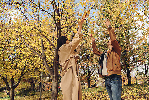 포토 JPG 주간 커플 여자 남자 행복 단풍 낙엽 데이트 장난 자연 서울 서기 웃음 상반신 20대 성인 야외 두명 옆모습 다정 산책 한국인 가을 숲 즐거움 은행잎 성인만 서울숲 국내포토 자연요소 계절 감정 뷰포인트 컨셉 잎 관계 모션 휴식 한국 표정 사람 동양인 청년 생태계 파일형식