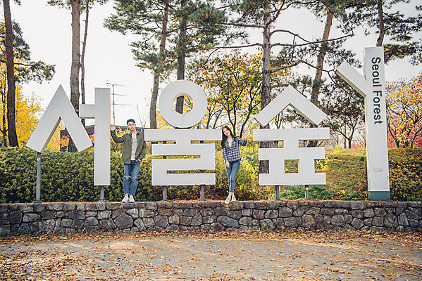 포토 JPG 주간 전신 커플 여자 남자 행복 데이트 서울 서기 20대 성인 야외 두명 앞모습 다정 한국인 가을 숲 즐거움 성인만 서울숲 국내포토 자연요소 계절 감정 뷰포인트 컨셉 관계 모션 한국 사람 동양인 청년 파일형식