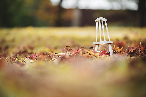 포토 JPG 주간 계절 백그라운드 단풍 낙엽 의자 근접촬영 사람없음 야외 아웃포커스 장난감 가을 편안함 오브젝트 국내포토 자연요소 뷰포인트 가구 잎 촬영기법 감각 파일형식