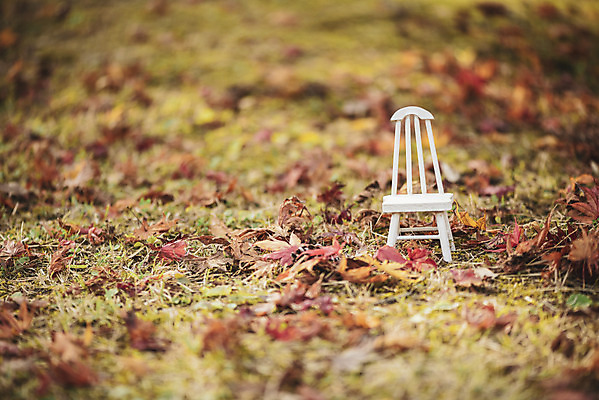 포토 JPG 주간 계절 백그라운드 단풍 낙엽 의자 사람없음 야외 장난감 가을 편안함 오브젝트 국내포토 자연요소 가구 잎 감각 파일형식