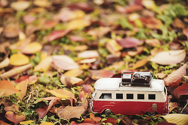 포토 JPG 주간 계절 백그라운드 단풍 낙엽 자동차 버스 사람없음 야외 장난감 가을 편안함 오브젝트 국내포토 자연요소 육상교통 잎 대중교통 감각 파일형식