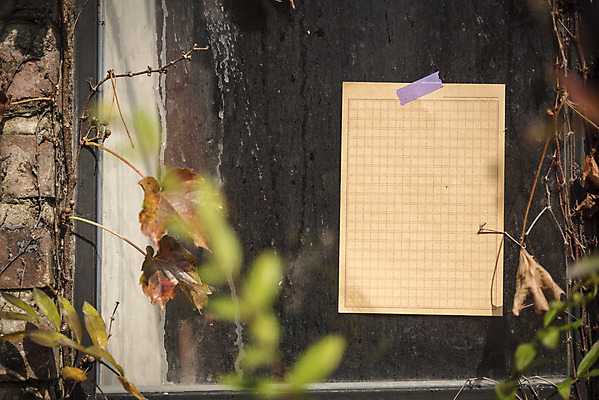 포토 JPG 주간 계절 종이 백그라운드 프레임 사람없음 야외 가을 편안함 오브젝트 카피스페이스 국내포토 자연요소 공백 감각 파일형식