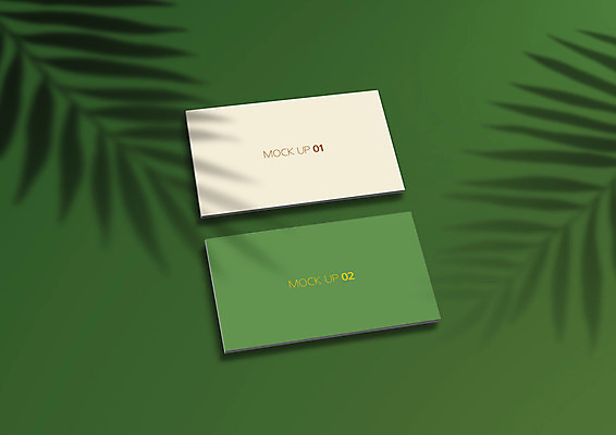 PSD 편집이미지 명함 나뭇잎 그림자 사람없음 초록색 여름 목업 이미지편집 계절 컬러 잎 파일형식