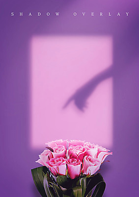 PSD 편집이미지 꽃 실루엣 꽃다발 손가락 그림자 손짓 사람없음 빛 장미 보라색 이미지편집 식물 손 컬러 모션 촬영기법 파일형식