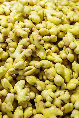 포토 JPG 주간 한국 사람없음 야외 전라북도 특산물 생강 봉동생강 국내포토 자연요소 아시아 채소 전라도 파일형식