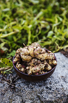 포토 JPG 주간 한국 사람없음 야외 전라북도 특산물 생강 나무그릇 봉동생강 국내포토 자연요소 그릇 아시아 채소 목재 전라도 파일형식