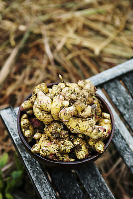 포토 JPG 주간 한국 사람없음 야외 전라북도 특산물 생강 나무그릇 봉동생강 국내포토 자연요소 그릇 아시아 채소 목재 전라도 파일형식