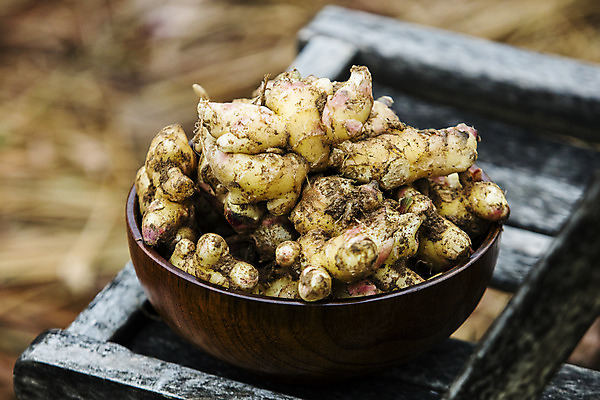 포토 JPG 주간 한국 사람없음 야외 전라북도 특산물 생강 나무그릇 봉동생강 국내포토 자연요소 그릇 아시아 채소 목재 전라도 파일형식