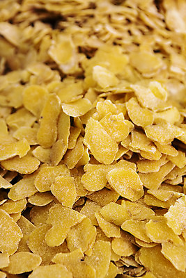 포토 JPG 주간 건조 한국 사람없음 야외 전라북도 특산물 생강 편강 봉동생강 국내포토 자연요소 아시아 채소 전라도 파일형식