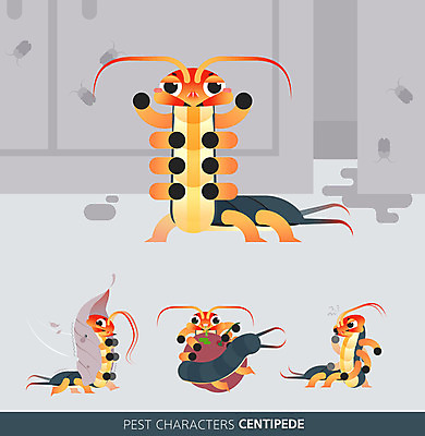 캐릭터 여러마리 일러스트 사람없음 세트 귀여움 회색 추위 해충 곤충캐릭터 공격적 숨기 지네 일러캐릭터 AI파일 컬러 다수 곤충 컨셉 절지류 모션 벌레 파일형식 벡터