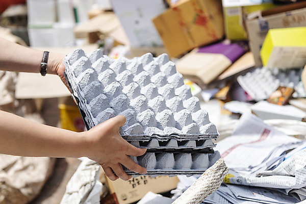 포토 JPG 주간 손 여자 40대 중년 한명 야외 신체부위 재활용 한국인 쓰레기 버리기 분리수거 자원 계란판 쓰레기장 회복 중년여자한명만 국내포토 자연요소 1 컨셉 모션 사람 동양인 성인 친환경 여자한명만 중년여자만 파일형식